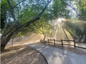Тенистая дорожка Twin Pines Park