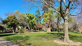 Деревья и picnic area Washington Park